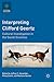 Interpreting Clifford Geertz: Cultural Investigation in the Social Sciences (Cultural Sociology)
