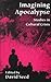 Imagining Apocalypse: Studies in Cultural Crisis
