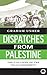 Dispatches From Palestine: ...