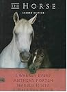 The Horse by J. Warren Evans