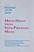 Medan-medan dalam Sistem Persuratan Melayu