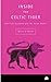 Inside the Celtic Tiger (Contemporary Irish Studies)