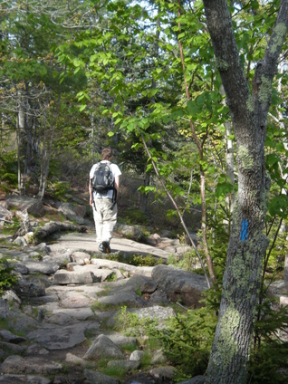 Interdisciplinary Studies in Literature and Environment: Volume 18, Issue 1, Winter 2011