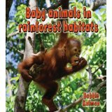 Baby Animals in Rainforest Habitats (Habitats of Baby Animals)