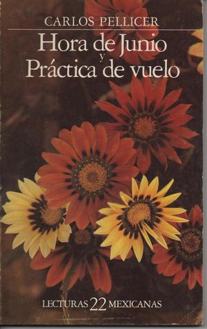 Hora de Junio y Práctica de Vuelo (Paperback)
