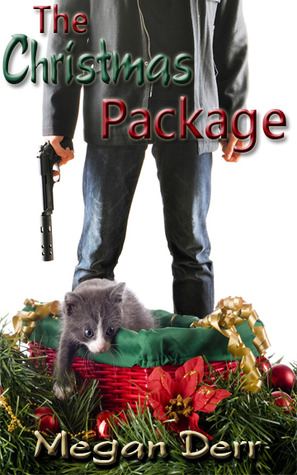 The Christmas Package (Kindle Edition)