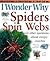 Spiders Spin Webs: And Other Questions About Creepy Crawlies