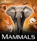 Mammals