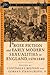 Prose Fiction and Early Modern Sexuality,1570-1640 (Early Modern Cultural Studies 1500–1700)