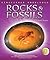 Rocks & Fossils