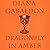 Dragonfly in Amber (Outland...