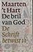 De bril van God by Maarten 't Hart De bril van God by Maarten 't Hart