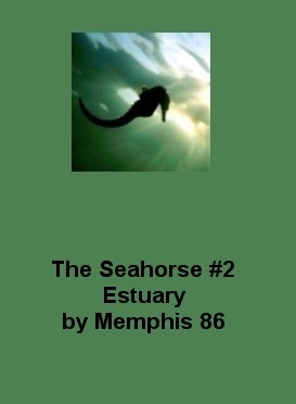 Estuary (The Seahorse, #1.1)