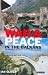 War and Peace in the Balkan...
