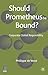 Should Prometheus be Bound?: Corporate Global Responsibility