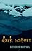 Dark Waters by Cathy MacPhail