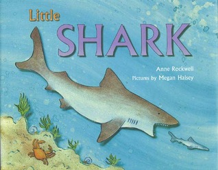 Little Shark (Hardcover)