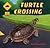 Turtle Crossing by Rick Chrustowski