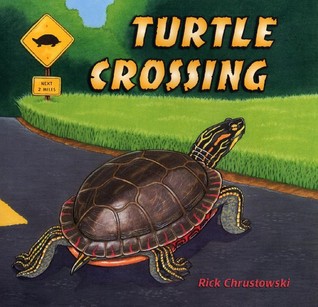 Turtle Crossing (Hardcover)
