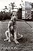 Dog Dogs by Elliott Erwitt