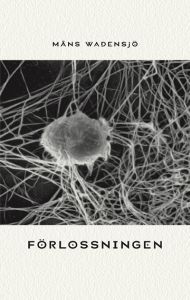 Förlossningen (Paperback)