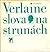 Slova na strunách