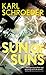 Sun of Suns by Karl Schroeder