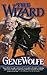 The Wizard (The Wizard Knight #2)
