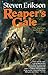 Reaper's Gale (Malazan Book of the Fallen, #7)