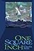 One Square Inch by Claudia Mills
