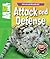Weird and Wonderful: Attack...