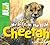 My Life in the Wild: Cheeta...