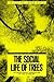 The Social Life of Trees: Anthropological Perspectives on Tree Symbolism (Materializing Culture)