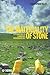 The Materiality of Stone by Christopher Tilley