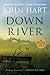Down River by John Hart