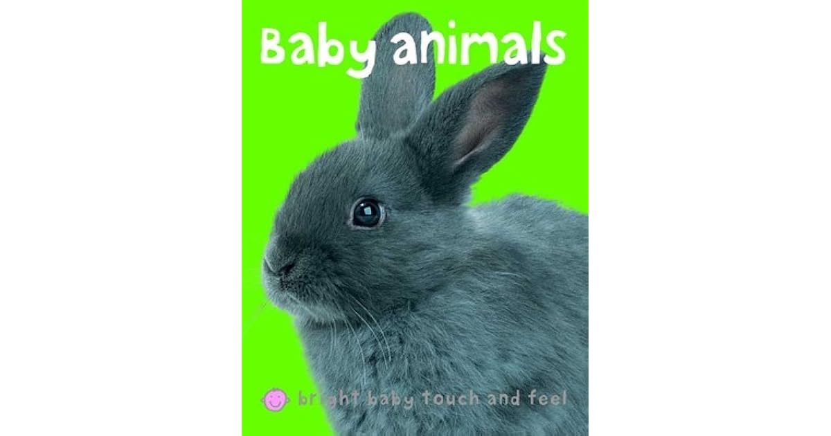 bright baby touch & feel baby animals