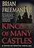 Kings of Many Castles by Brian Freemantle