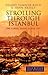 Strolling Through Istanbul: The Classic Guide to the City (Tauris Parke Paperbacks)