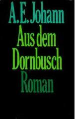 Aus Dem Dornbusch: Roman