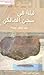 ليلة في سجن المالكي by عبد الستار حتيتة