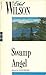 Swamp Angel (New Canadian Library)