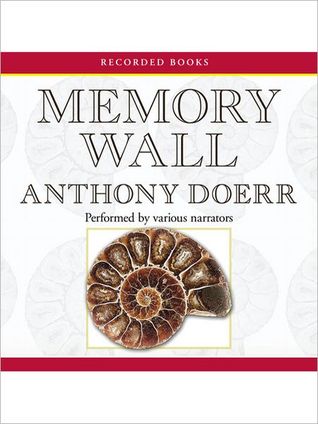 Memory Wall: Stories