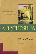 Mr. Mani (Paperback)