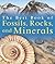 My Best Book of Rocks and Fossils (The Best Book of)