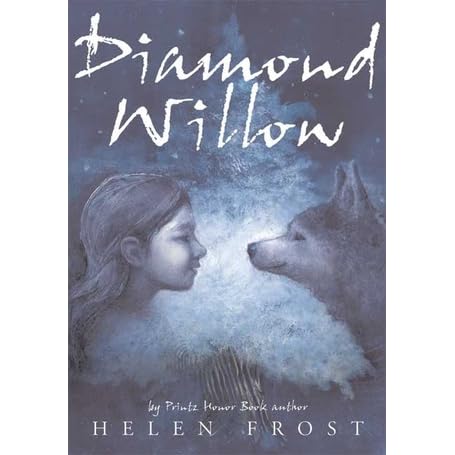 diamond willow tree alaska