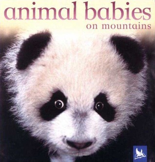 Animal Babies on Mountains (Board Book)