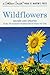 Wildflowers: A Fully Illustrated, Authoritative and Easy-to-Use Guide (A Golden Guide from St. Martin's Press)
