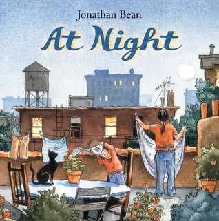 At Night (Hardcover)