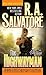 The Highwayman by R.A. Salvatore