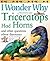 I Wonder Why Triceratops Had Horns: and Other Questions about Dinosaurs
